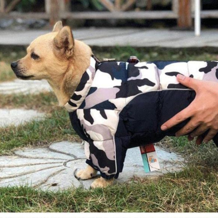 Chien manteau - DogHiver™