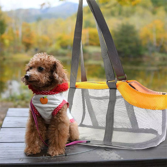 Chien à côté d'un sac de transport sur une table au parc