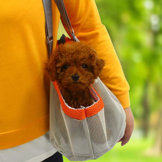 Chien dans un sac de transport poté en bandoulière par son maître