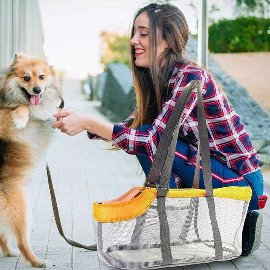 Chien à côté de sa maîtresse qui s'apprête à le mettre dans un sac de transport