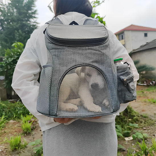Chien dans un sac de transport gris sur le dos de son maĂźtre