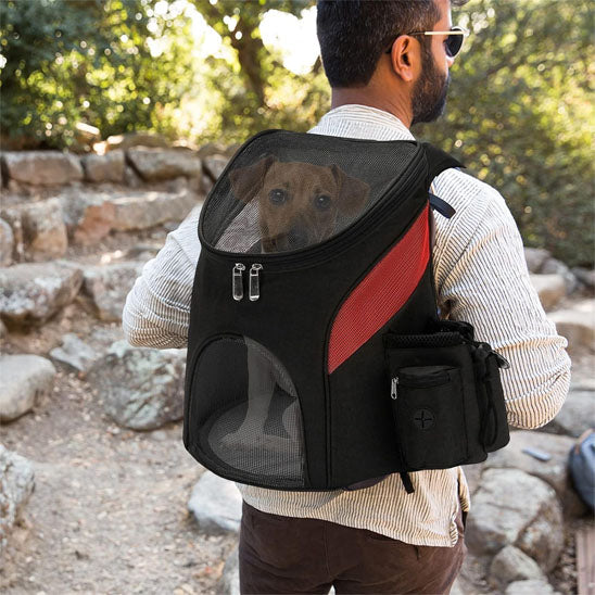 Homme en randonnée avec son chien installait confortablement dans son sac de transport noir et rouge sur son dos