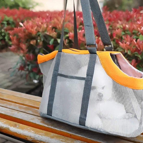 Sac de transport pour chien dans parc sur un banc