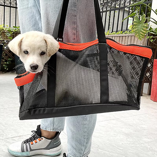 Chien dans un sac de transport tenu par son maître