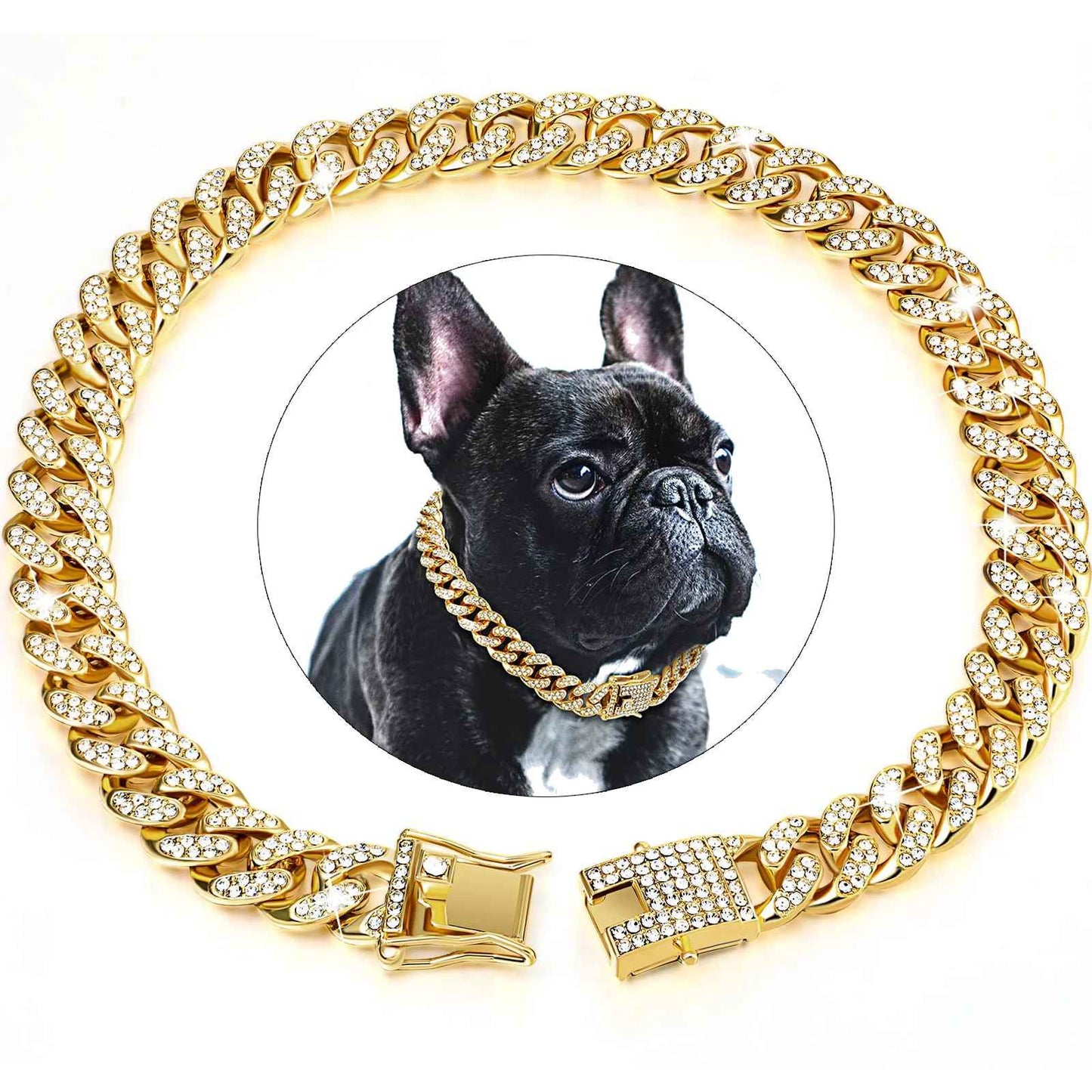 Portrait de chien avec collier en or