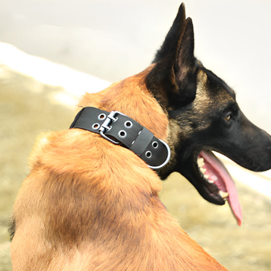 collier-chien-noir