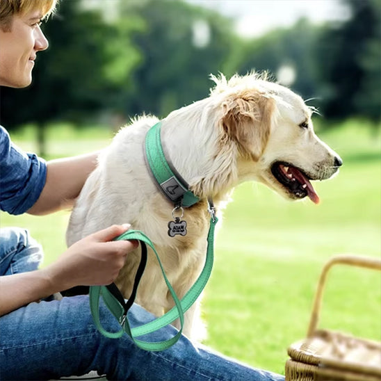 Beau chien en pique-nique avec son maître dans un parc