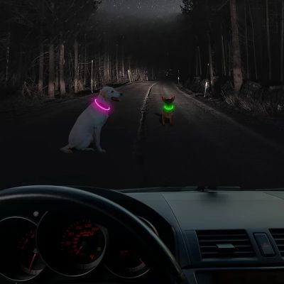 collier-lumineux-pour-chien-visible-la-nuit