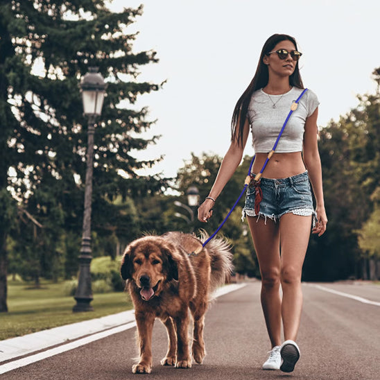 Chien marche avec une laisse bleu à côté de sa maîtresse dans parc