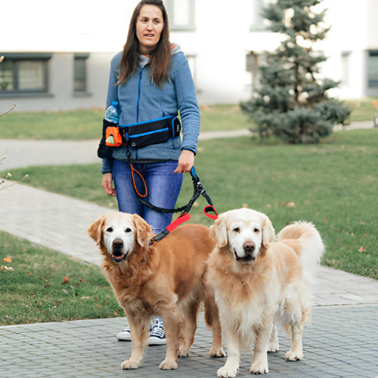 Femme en balade avec ses deux chiens attachés à une double laisse rouge