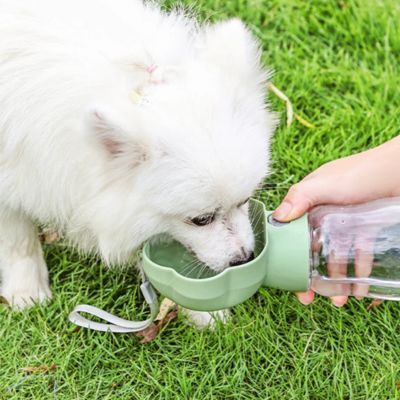 Accessoire de sortie indispensable, gourde pour chien verte avec système de distribution facile en plein air.