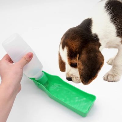 Chien buvant directement au rĂ©servoir dâune gourde pour chien verte pendant une promenade urbaine