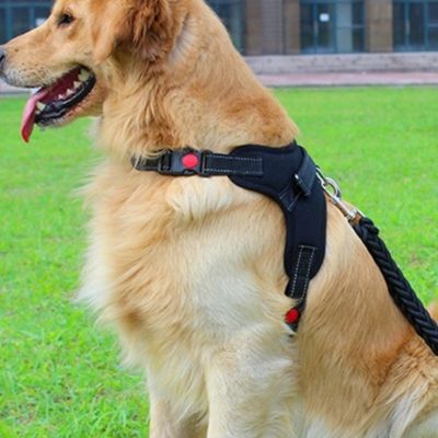 Chien assis avec un harnais anti-traction noir sur le gazon