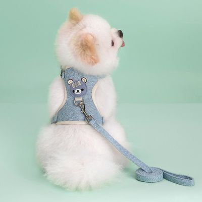 Chien avec un harnais bleu assis