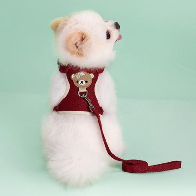 Chien avec un harnais rouge assis