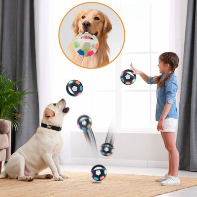 Fille jouant avec son chien jouant ensemble dans le salon avec la balle avec poignée interactive noir