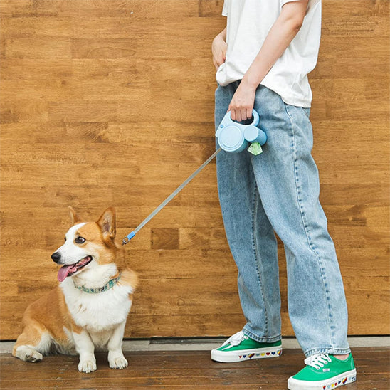 Homme avec une laisse rétractable bleu tenant son chien