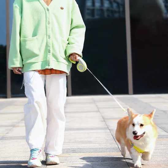 femme avec chien tenu par une laisse rétractable jaune