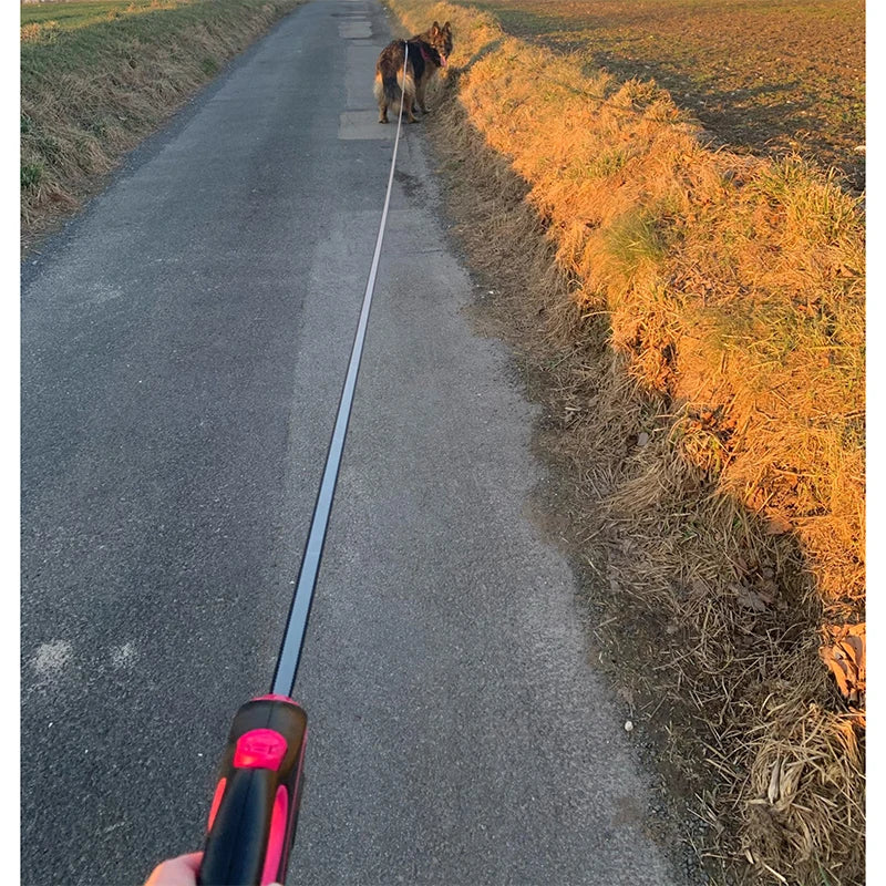 Chien contrôlé grâce à une laisse rétractable rose sur la route
