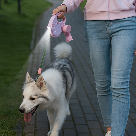 Femme avec une laisse rétractable rose, lumière LED allumée le long d'un chemin de parc la nuit tenant son chien
