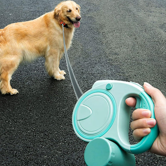 Homme avec une laisse rétractable verte tenant son chien sur la route asphaltée