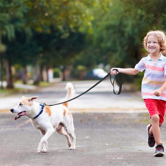Laisse pour chien noir court avec un enfant