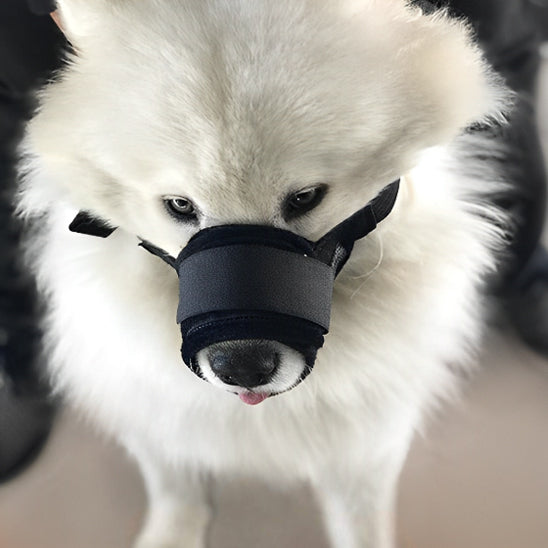 Chien avec une muselière NOIR