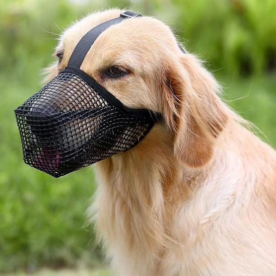 Chien avec muselière noir au parc
