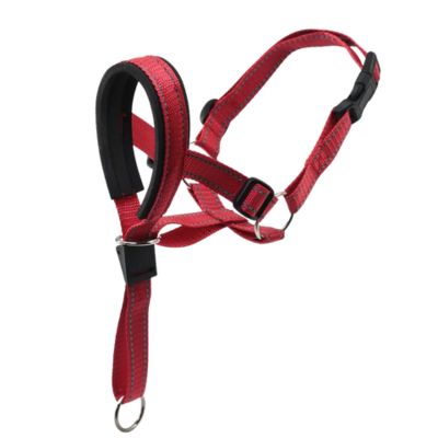 Muselière de couleur rouge