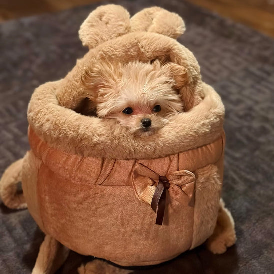 Chien assi confortablement dans son sac de transport brun