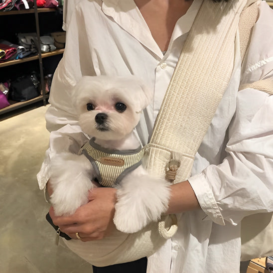 femme avec son chien dans un sac de transport dans un magasin