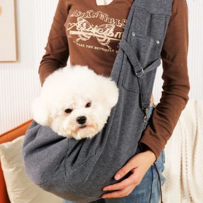Chien dans un sac de transport gris en bandoulière avec son maître