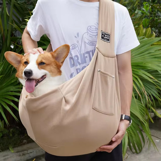 Chien dans un sac de transport kaki en bandoulière devant les palmier