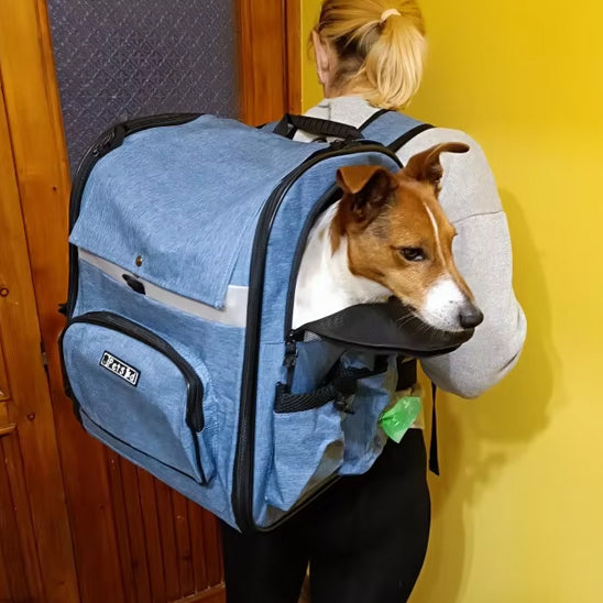 Transport d'un chien dans un sac sur les épaules