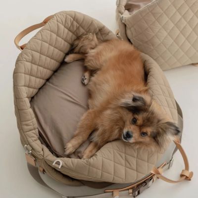 Chien installé dans son sac de transport brun en toute sécurité