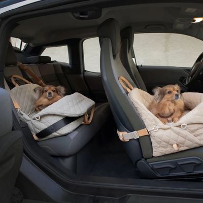 Deux beaux chiens assis dans leurs sac de transport chacun sur un des siĂšges de la voiture