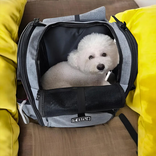 Joli caniche blanc dans un sac de transport confortablement assi