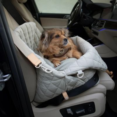 Chien bien installé dans son sac de transport sur le siÚge arriÚre de la voiture