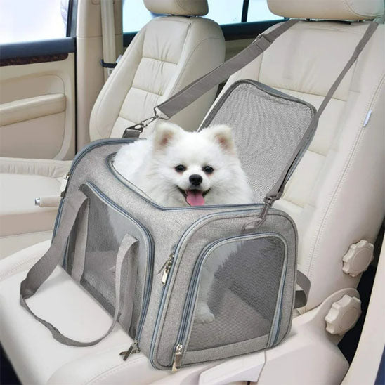 Chien blanc dans son sac de transport gris sur le siège avant de la voiture