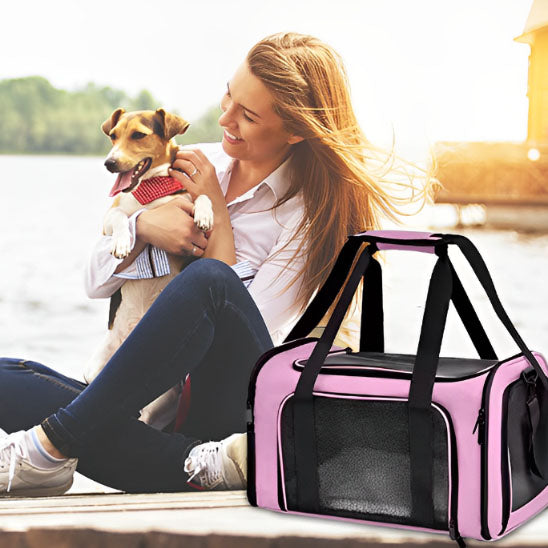 Jeune femme accompagnée de son chien près d'un lac avec son sac de transport pour chien