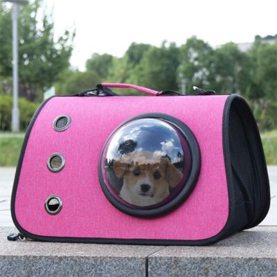 Chien dans un sac de transport rose