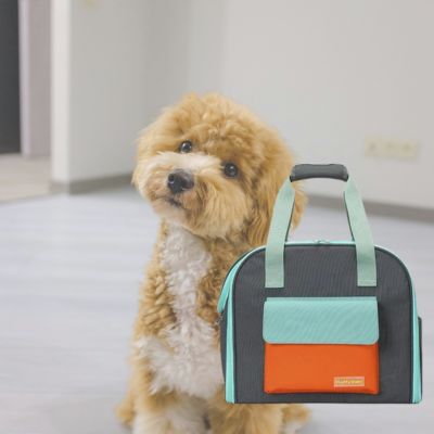 sac de transport pour chien bleu