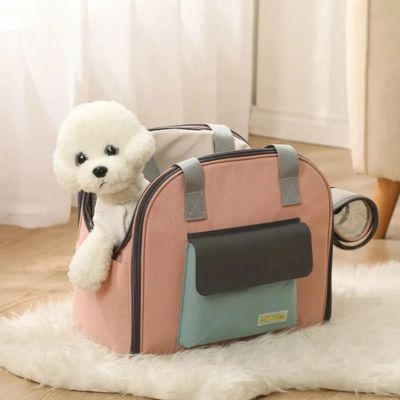 Caniche blanc dans un sac de transport rose au milieu du salon