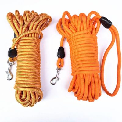une-laisse-pour-chien-orange-foncé