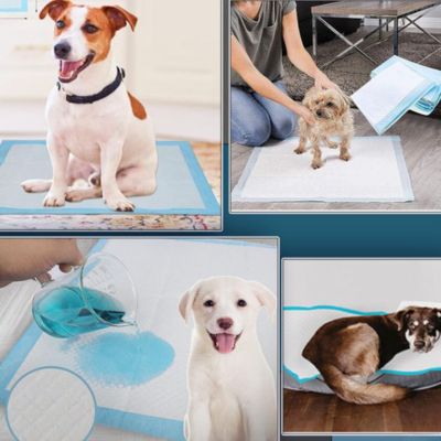 PetPads™ | Alèses pour chien