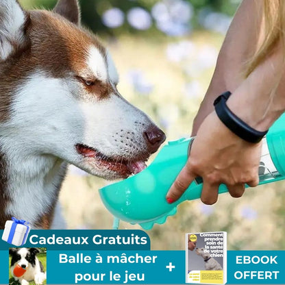 GOURDE POUR CHIEN | MultaskBowl™