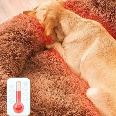 Lit canapé pour chien| FluffyBed™