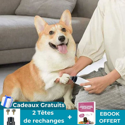 PawsSmooth Pro™ | Coupe ongles électrique pour chien