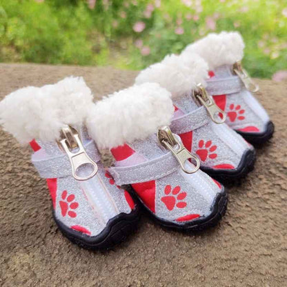 Chaussure Chien | PattesSèches™