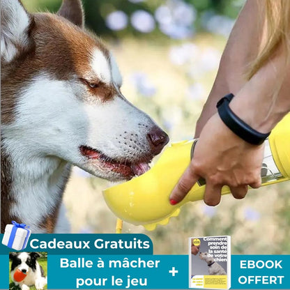 GOURDE POUR CHIEN | MultaskBowl™